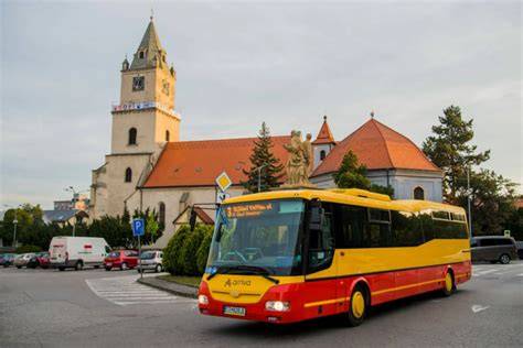 Schéma rekonvalescencie a návratu do normálneho režimu
