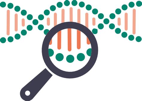 Schéma rodinnej genetickej konzultácie a testovania