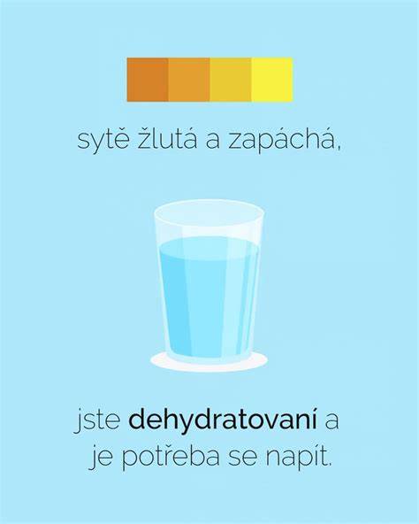Infografika: 10 zásad výživnej diéty a pravidelný pitný režim