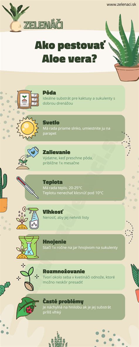 Infografika: Ako aloe vera gél ovplyvňuje imunitu detí