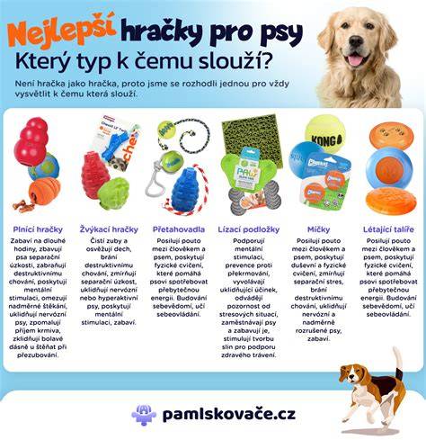 infografika_plodnost_psy_cospective Slovak