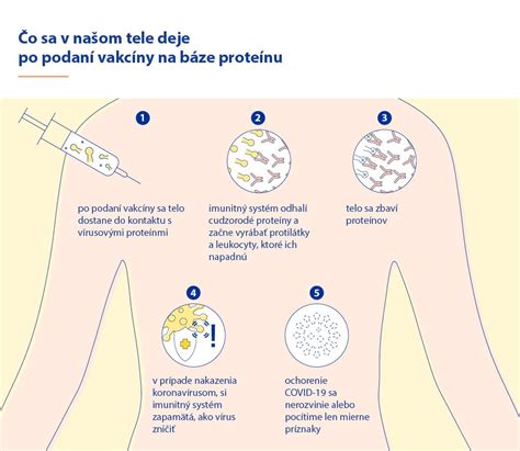 Infografika: Ako funguje očkovanie a čo sa deje v tele po očkovaní