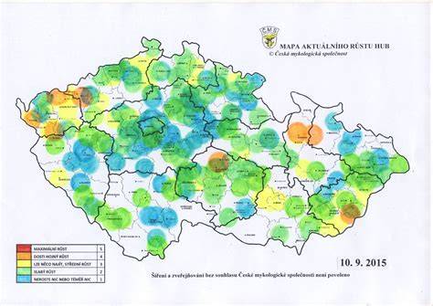 Mapa výskytu rotavírusovej gastroenteritídy v detských kolektívnych zariadeniach