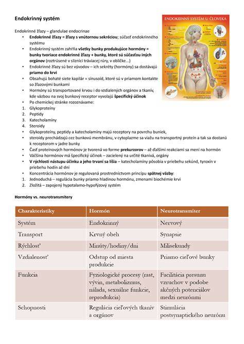 Infografika: Potenciálne účinky sóje na endokrinný systém a tehotenstvo