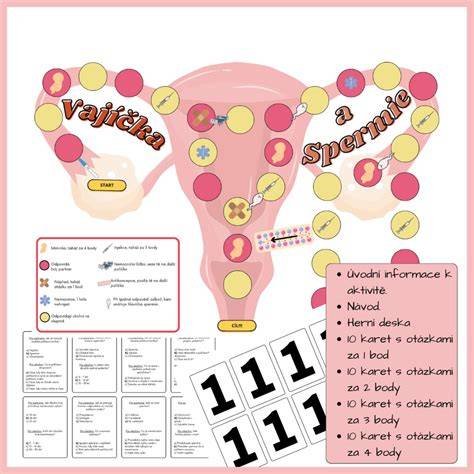 Diagram: Cesty zachovania plodnosti - vajíčka, embryá, spermie a ich ukladanie