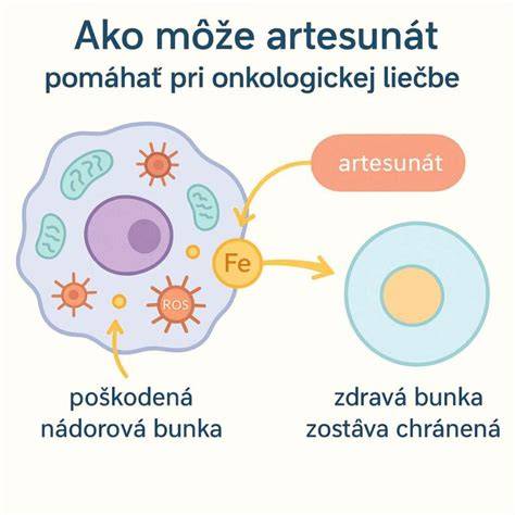 Ilustrácia postupov pri zachovaní plodnosti po onkologickej liečbe
