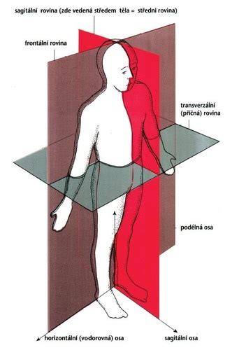 Grafika: Tracheektómia - typy zákroku a ich zásah do anatómie
