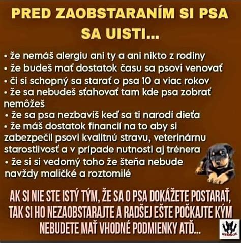 Možnosť otehotnenia pri analnom styku: čo treba vedieť
