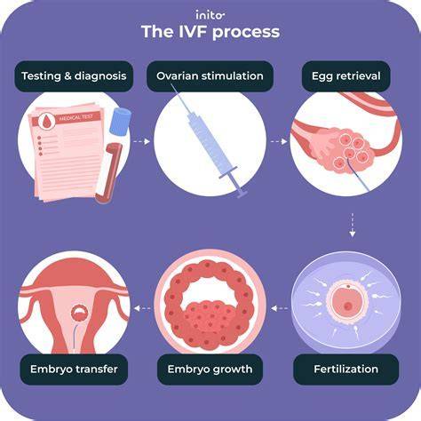 Nadštandardné metódy asistovanej reprodukcie IVF: prehľad