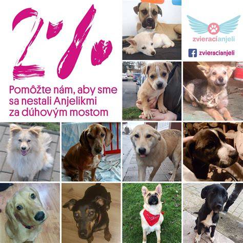 Infografika: Možnosti uznania otcovstva a adopcie po surogácii