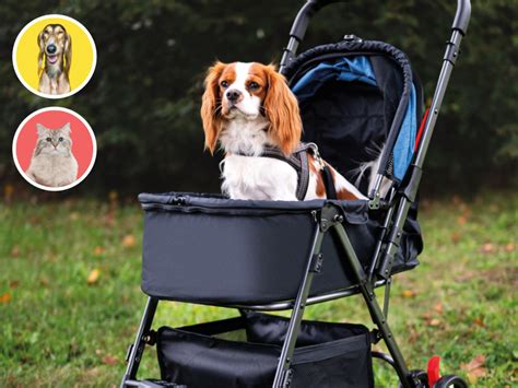 Kočíky pre psov: Pohodlie a bezpečnosť pre vášho štvornohého priateľa