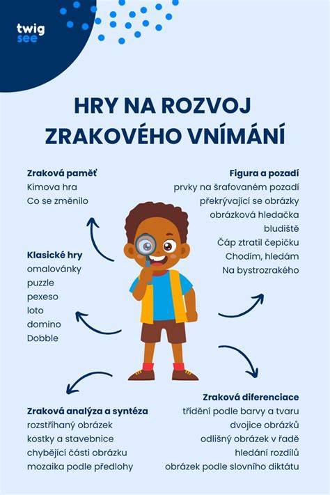 Infografika: Rozdelenie zrakového postihnutia a prístup k vzdelávaniu