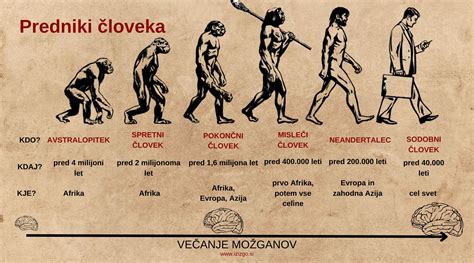 Infografika: Vývojové štádiá človeka od prenatálneho obdobia po adolescenciu
