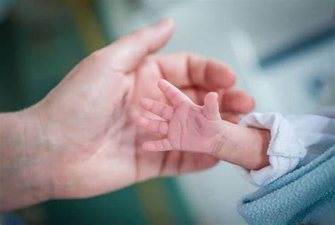 Infografika: starostlivosť o predčasne narodené dieťa (NICU, klokankovanie, výživa)