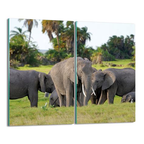 rodina a finančná ochrana