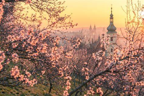Archívna fotografia Havla počas časťí Pražského jara