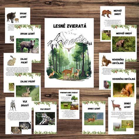 obleky a výzdoba pre tému Safari, lesné zvieratá a pod.