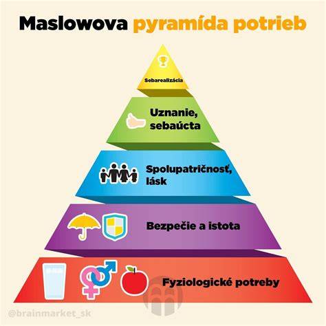 Národný tím a Vianočné dieťa: informácie o operácii a spoločenskom dopade