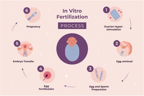 Prírodzený IVF cyklus: výhody a priebeh