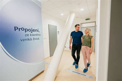 Infografika: Cesty liečby neplodnosti a alternatívy (IVF, inseminácia, kryoembryotransfer)