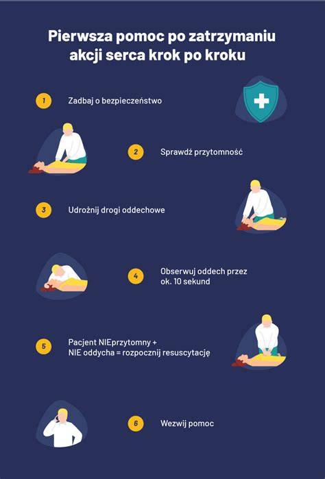 Infografika: postup IVF krok po kroku