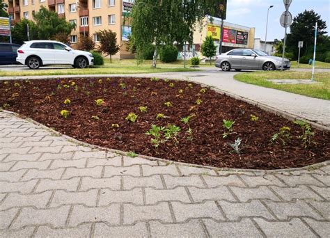 Infografika: proces reagovania na podnety týkajúce sa zelene v meste