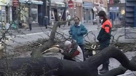 Nitra a tragické chvíle: pád stromu, záchrana detí a výzvy pre mestskú zeleň