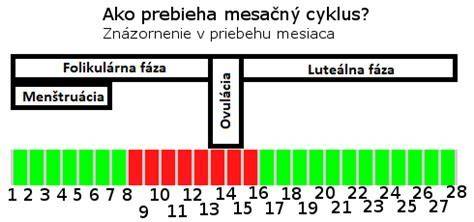 Schéma menštruačného cyklu a ovulácie