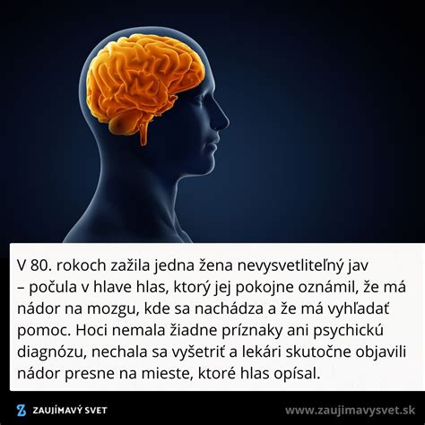 Ilustrácia mozgu a neurotransmiterov