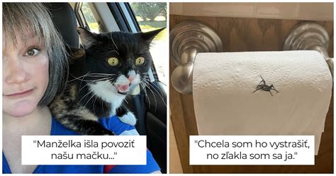Ilustrácia taniera so správnym pomerom makroživín