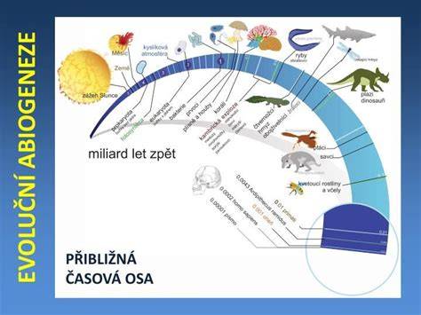 Infografika: Vývoj zraku v prvom roku života (fázy a očný vývoj)