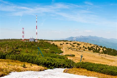 Deti sadia kvety v rámci environmentálnej výchovy
