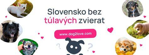 Infografika: Ako postupne zodpovednosť za zviera rozvíjať od 8 do 12 rokov