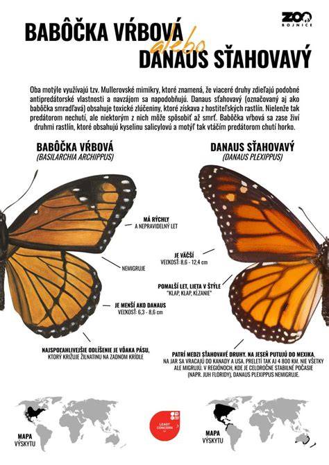 Infografika: Ako funguje dvojfázové odsávanie a rozdiel medzi modelmi
