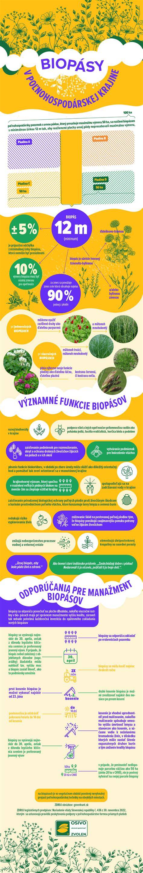 Infografika: Správny postup odsávania hlienov