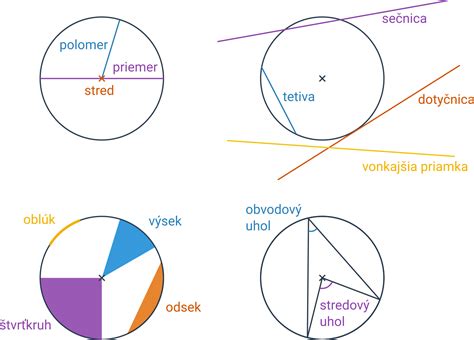 Mužská diéta: Synonymá a súvisiace pojmy