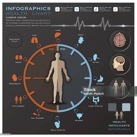 Infografika: Biologické hodiny a plodnosť podľa veku