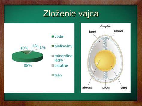 Proces oplodnenia vajíčka a vznik zygoty: cestou od gamét k začiatku nového života
