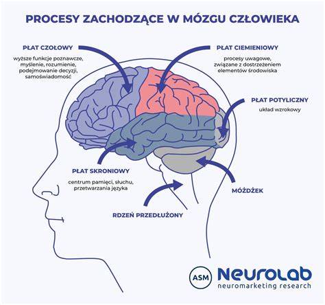 Infografika: Stroje a procesy v črevnom mikrobióme a mozgu