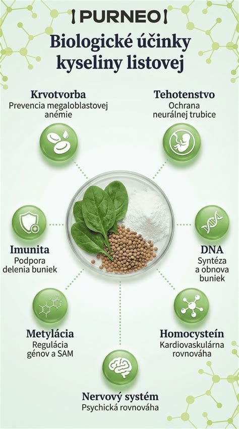 Infografika: Vplyv kyseliny listovej na vývoj plodu a riziká nedostatku
