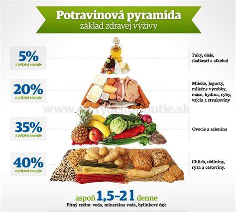 Infografika: Zdravý životný štýl a plodnosť