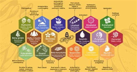 Infografika: Ako fungujú kvapky lásky a ich vplyv na šance otehotnenia