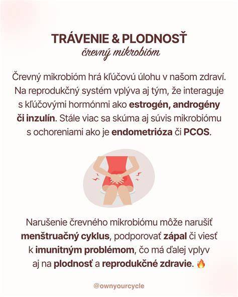 Infografika: Plodné okná a priebeh ovulácie