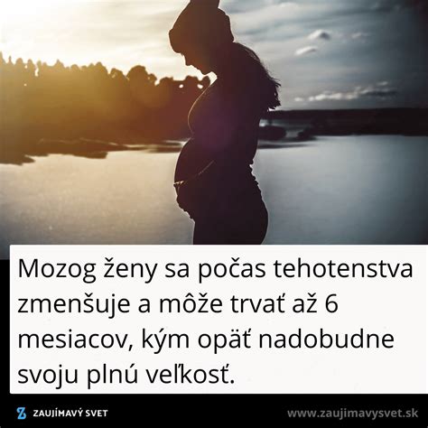 Infografika: Ako sa mení moč počas tehotenstva a čo ovplyvňuje farbu moču