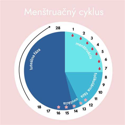 Infografika s hlavnými fázami ovulačného cyklu a hormónov