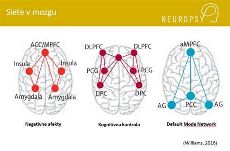 Infografika o vývoji hippocampu a vzťahu k autobiografickej pamäti