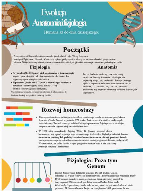Infografika o anatomii panenskej blany a rôznych anatomických variáciách