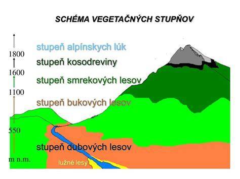 Infografika: Schéma výchovno-vzdelávacích stupňov na Slovensku