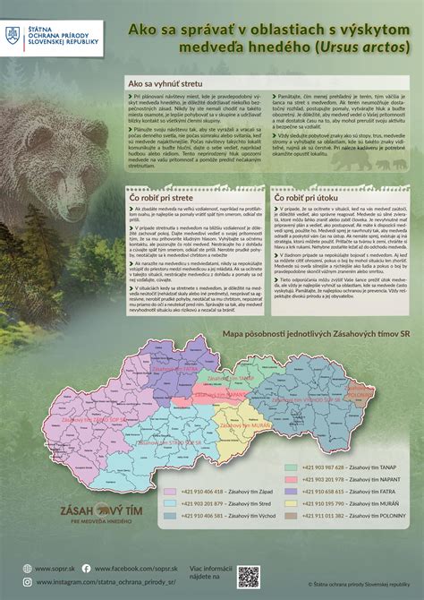 Infografika: Ekologické funkcie medveďa hnedého