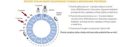 Infografika znázorňujúca mechanizmus šírenia dezinformácií a ich dopad na rozhodovanie